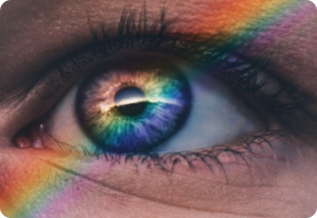 Webcam Eye Tracking Exposed